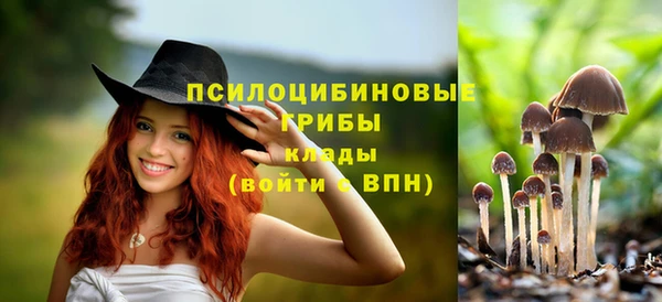 дурь Балахна