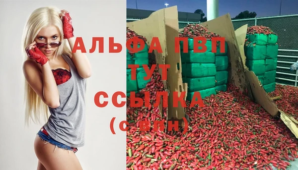 скорость Баксан