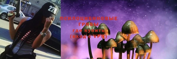 дурь Балахна