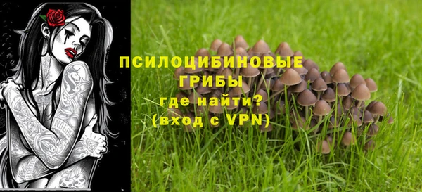 дурь Балахна