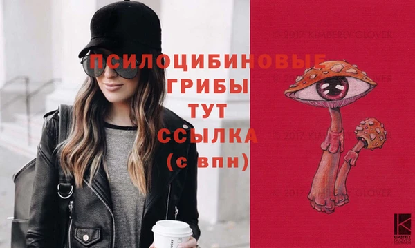 скорость Баксан