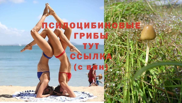 скорость Баксан